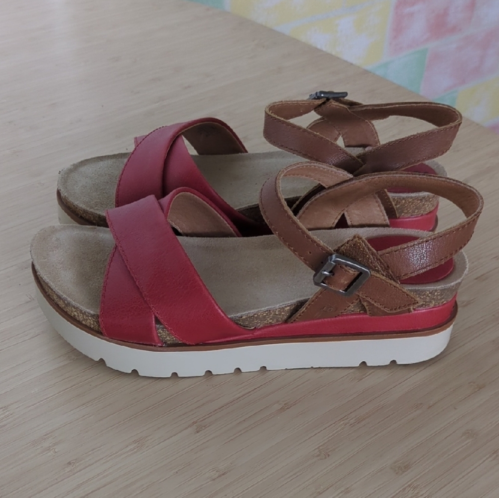 Josef Seibel Women's Sandals in Red and Brown